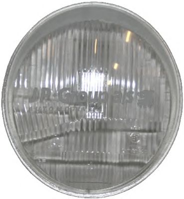 JP GROUP 1695150502 -  Рассеиватель, основная фара